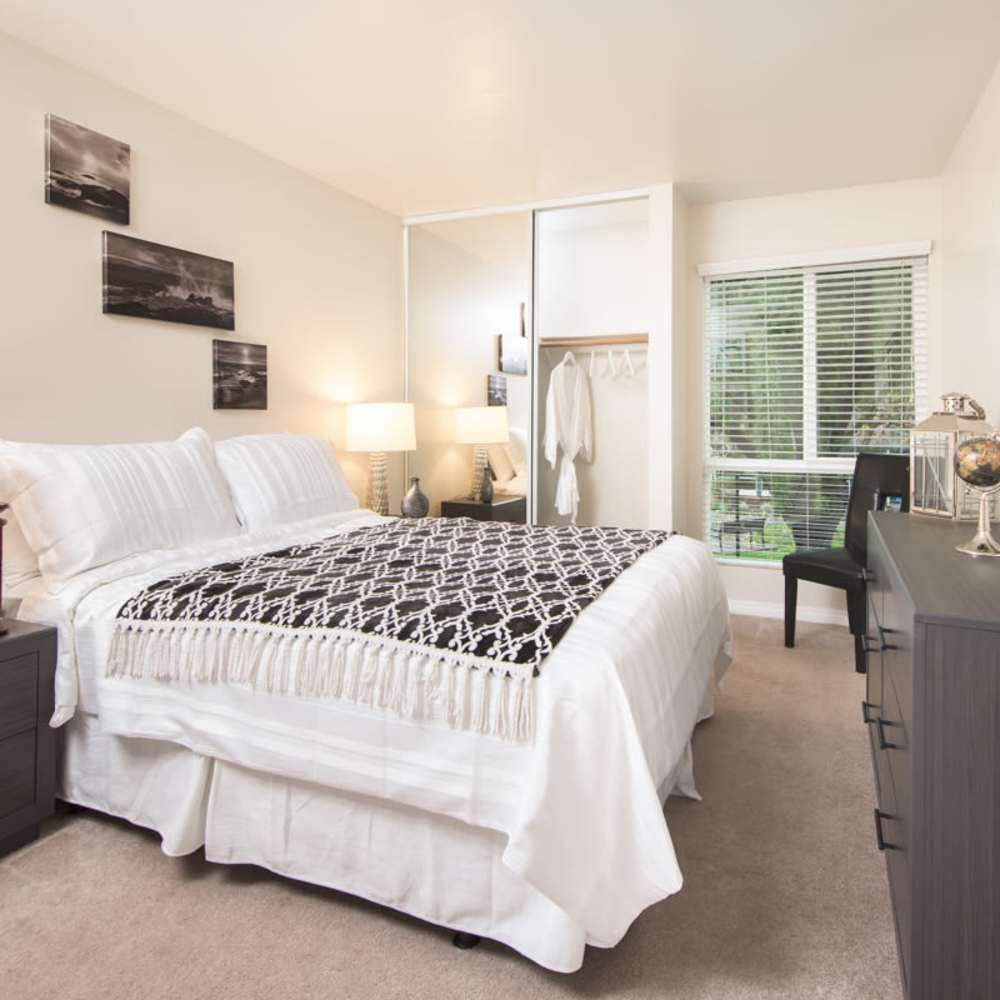 Spacious bedroom with king size bed, large window and carpert flooring at Santa Teresa Apartments in San Jose, California,