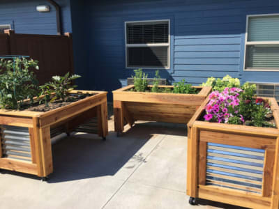 planter boxes full of flowers at Aspen Valley Senior Living in Boise, Idaho
