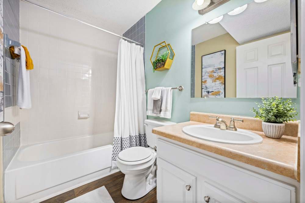 Bright bathroom with shower and tub at The Ellery of Cary in Cary, North Carolina