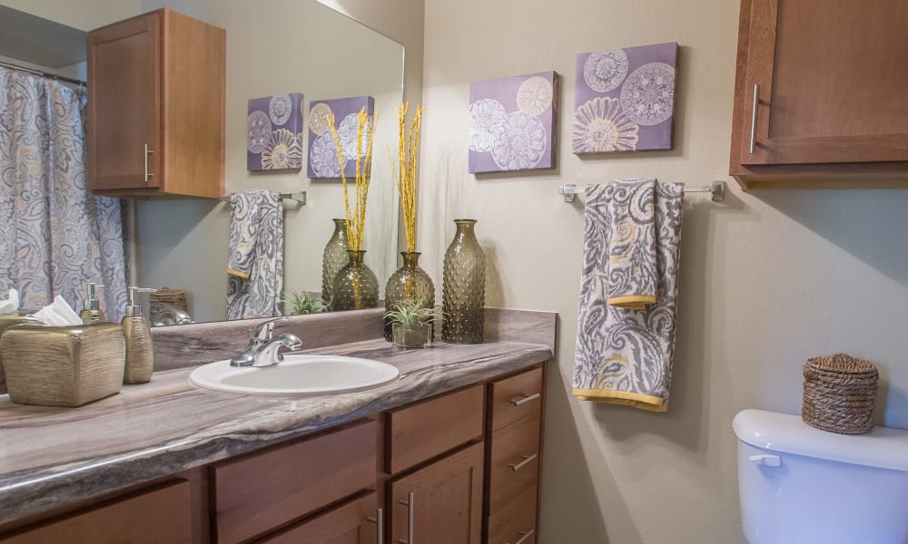 Bathroom at The Reserve at Elm in Jenks, Oklahoma