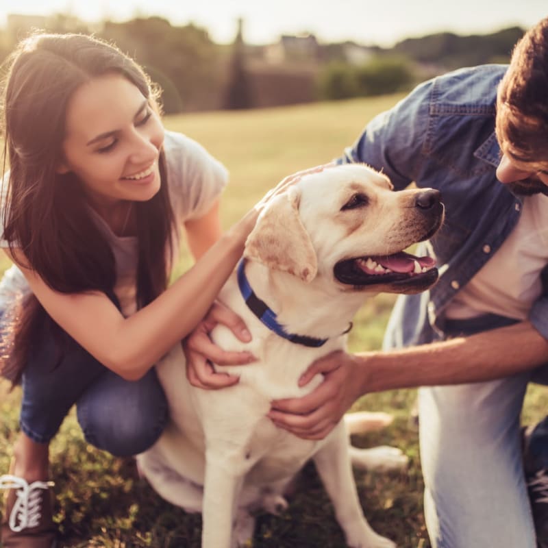 Residents playing with their dog on the no-site dog park at The Greens at Van de Water in Loveland, Colorado