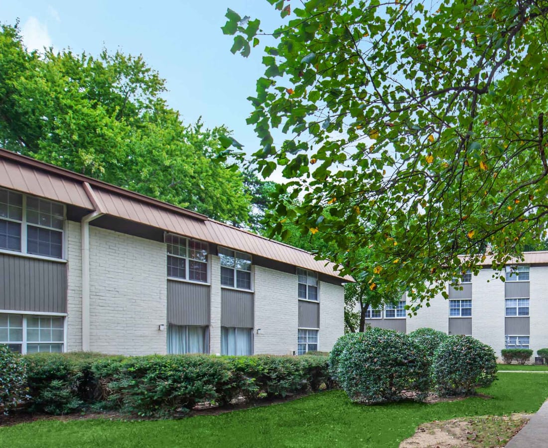 Landscaping surrounding apartment buildings at Commons at Briarwood Park in Brookhaven, Georgia