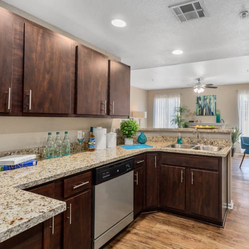 kitchen amenities at The Linq in Chandler, Arizona