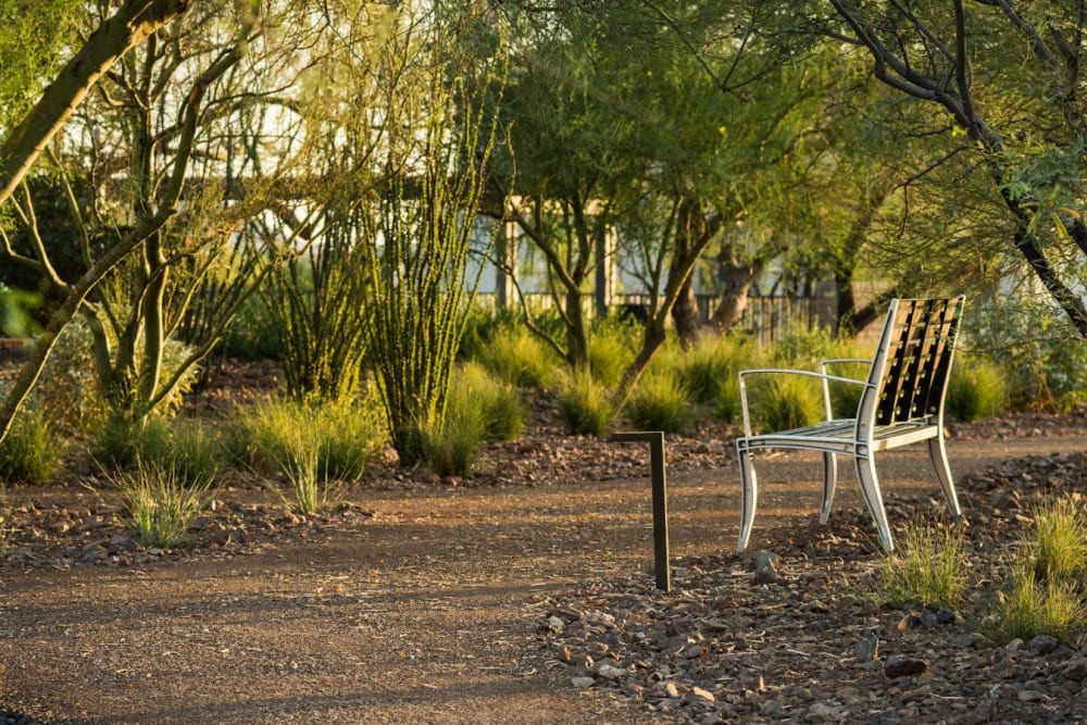 Rendering clubhouse at BB Living Union Park in Phoenix, Arizona