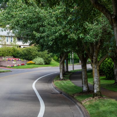 Walk way with trees on either side near Skyline at Murrayhill in Beaverton, Oregon