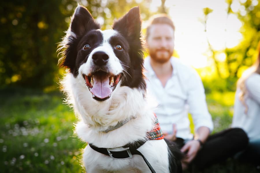 Resident hanging out with his dog near Signature Place in West Des Moines, Iowa