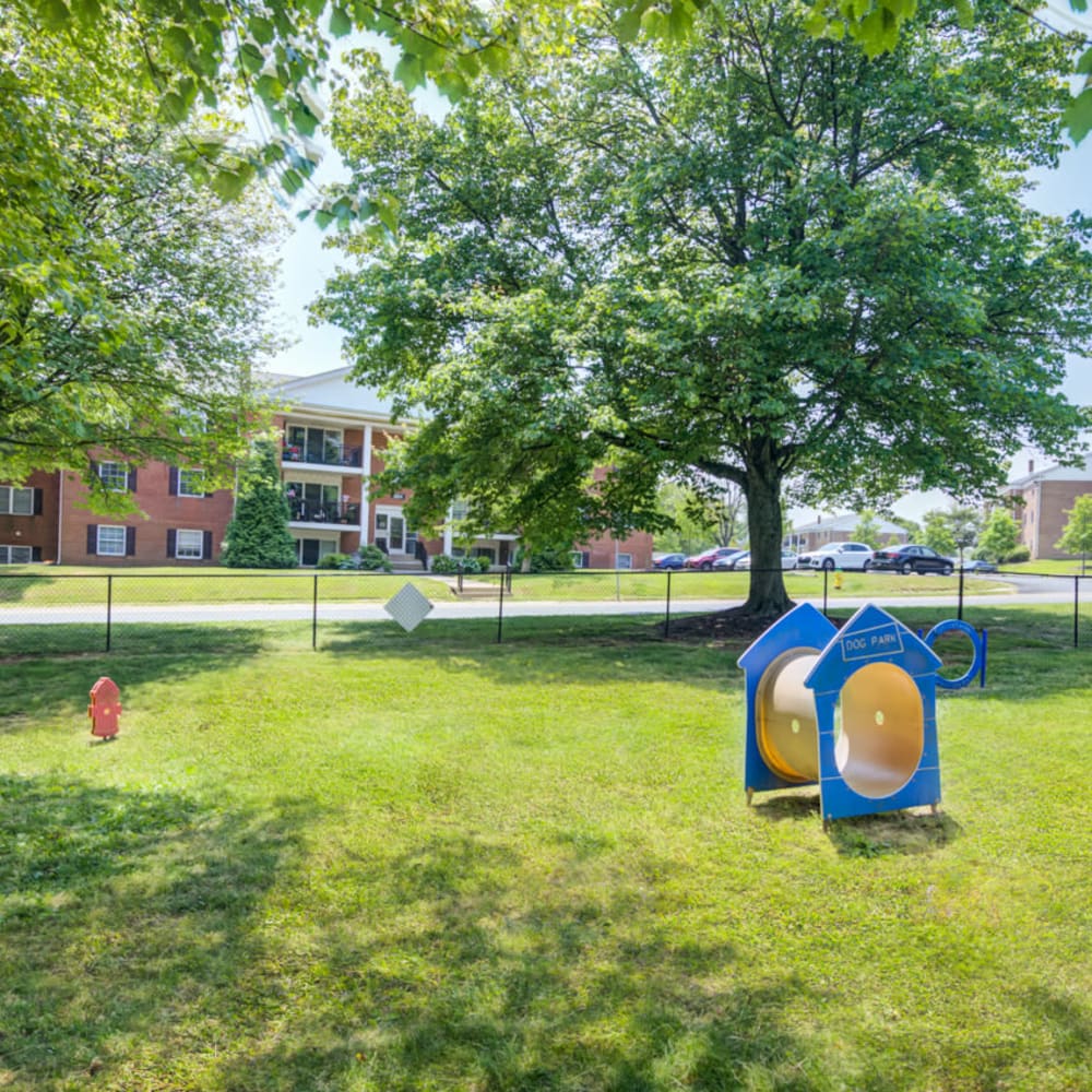 Fenced dog park with agility equipment at Woodacres Apartment Homes in Claymont, Delaware