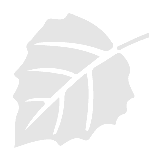 Carol Stephens at The Manor at Market Square in Reading, Pennsylvania 