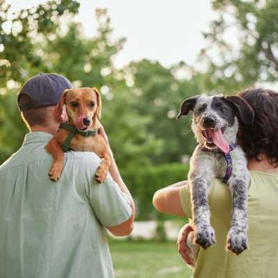 Pet friendly at Lemon Bay Apartments in Englewood, Florida