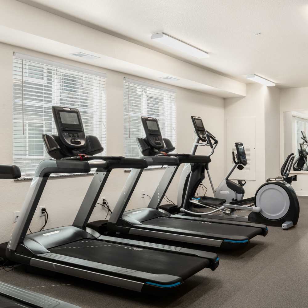 Treadmills at WaterWalk Minneapolis - Plymouth in Plymouth, Minnesota