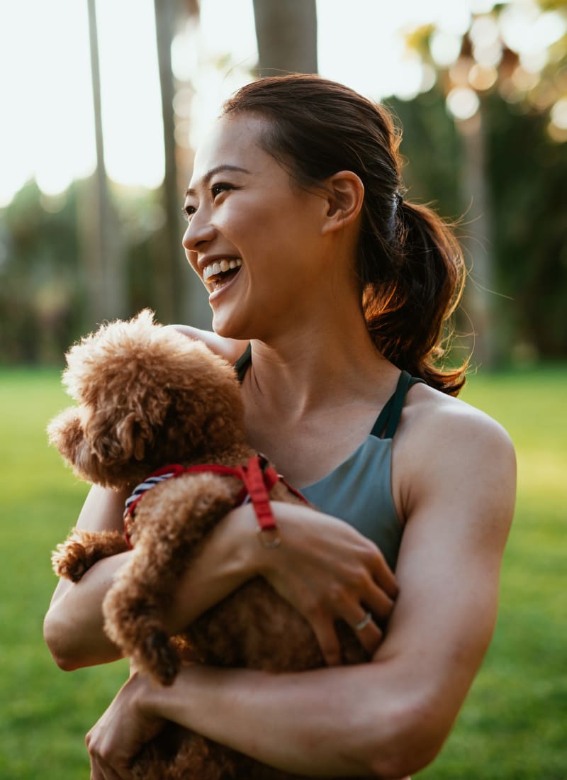 Breed restrictions at Marquis on Westheimer in Houston, Texas