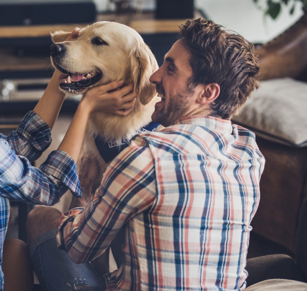 Resident holding his happy dog on the couch at Haven Apartment Homes in Kent, Washington