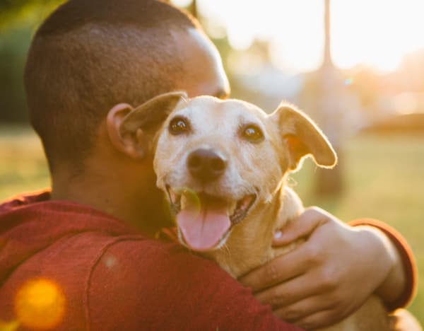 Cute dog at Maple Trail Apartments & Townhomes in Pasadena, Texas