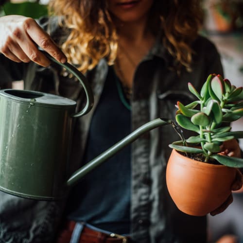 Resident watering her flowers at Lupine at Longmont in Longmont, Colorado