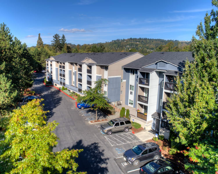 Newcastle Wa Apartments For Rent Near Newport Karbon Apartments