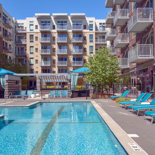 Swimming pool at Flux in Minneapolis, Minnesota