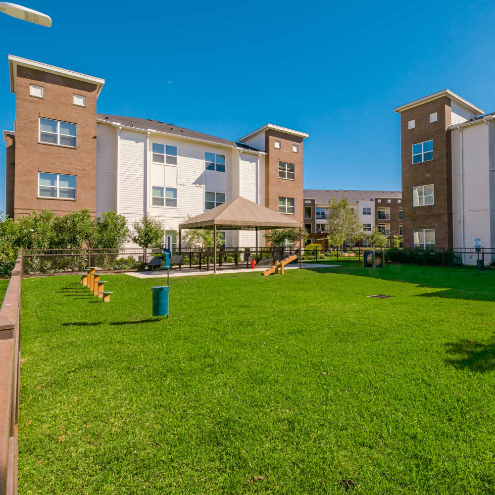 Apartments with lawn at NOVU New Forest in Houston, Texas