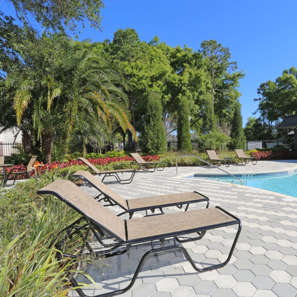Poolside lounge chairs at Southern Cove Apartments in Temple Terrace, Florida