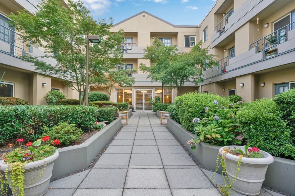 Courtyard at Island House in Mercer Island, Washington