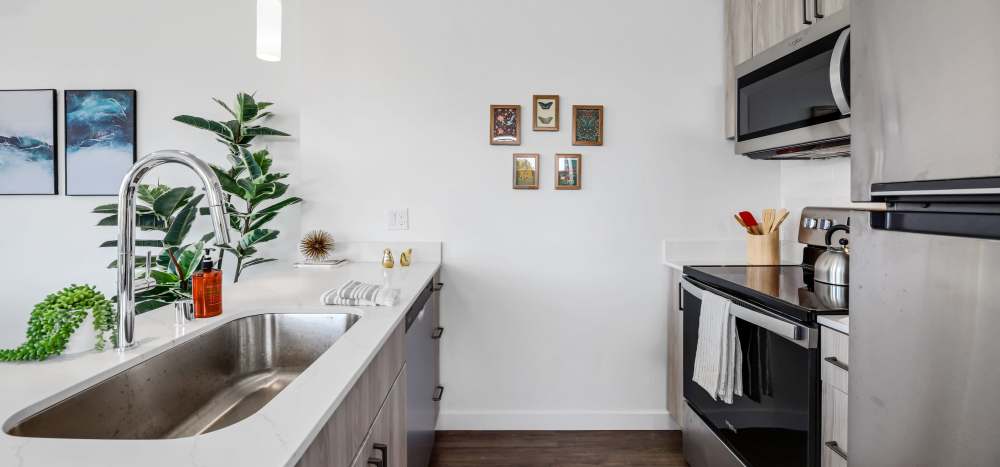 Kitchen with white countertops and a sink at Allegro in Lynnwood, Washington 