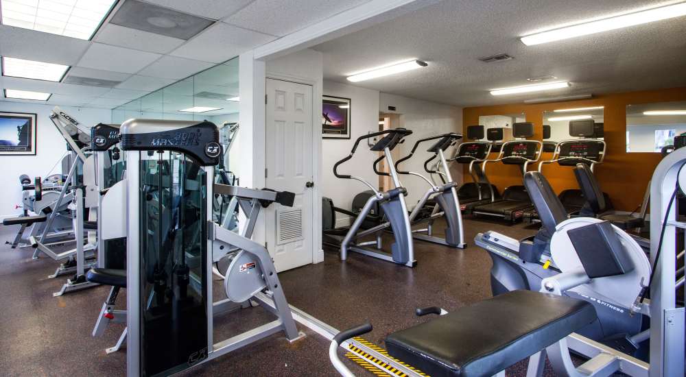 Well-equipped fitness center at Park Place Apartments in Port Richey, Florida. 