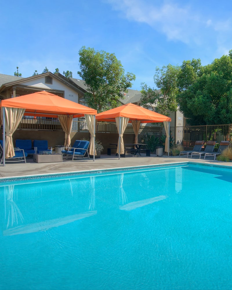 Resort-style pool at Reserve at Chino Hills in Chino Hills, California