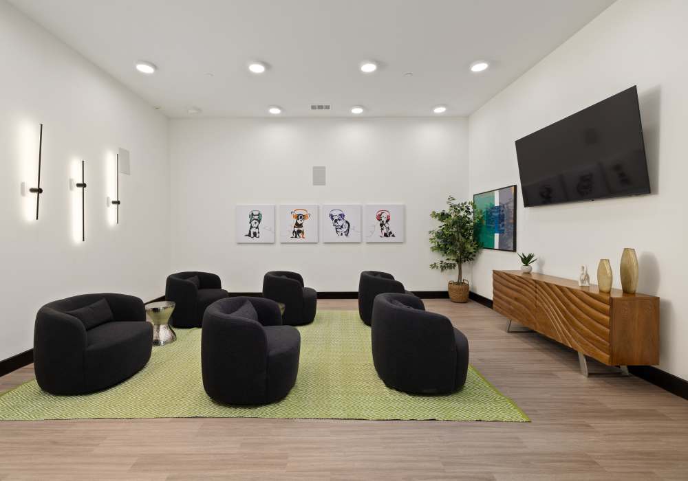 Community movie room at Henderson on Reinli in Austin. TX