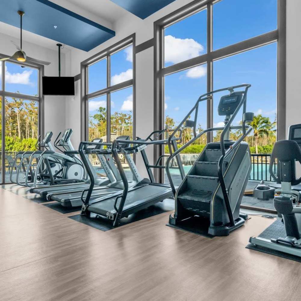 Luxury fitness center with large windows at 81 West Apartments in Fort Myers, Florida