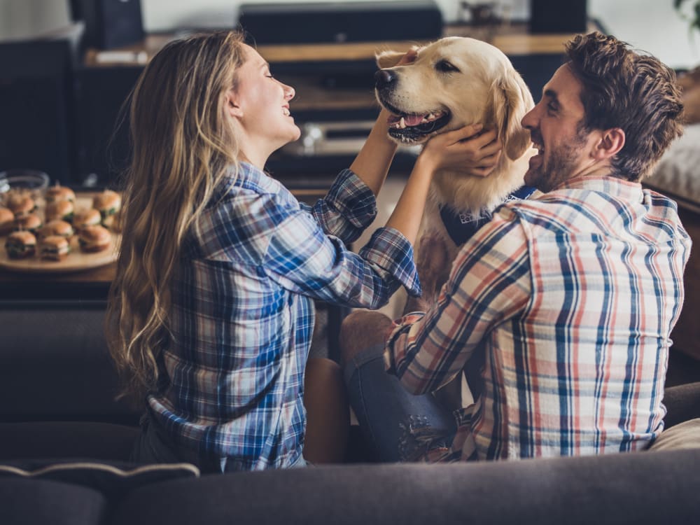 Dog getting some love from its owners in their new home at Sofi at 3rd in Long Beach, California