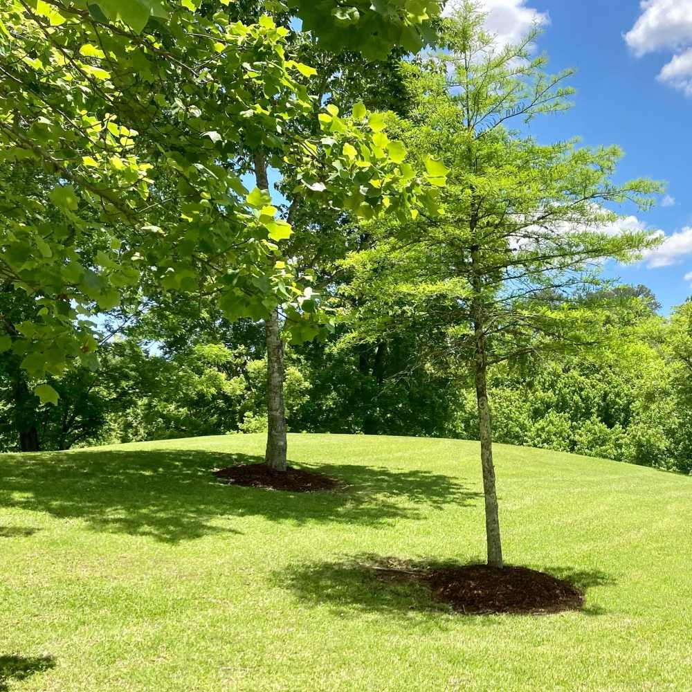 Green landscaping at Cannongate Apartments in Vicksburg, Mississippi