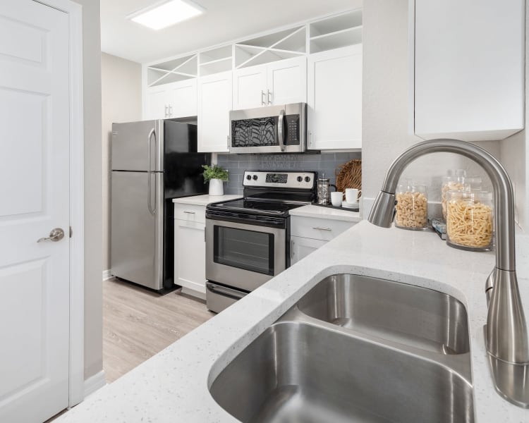 Dual-basin sink a model home's kitchen at Amira at Westly in Tampa, Florida