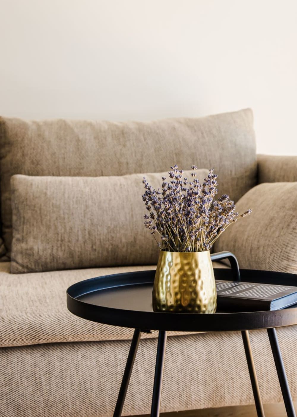 Sofa in an apartment at Eden Brooke Townhomes, Columbus, Ohio