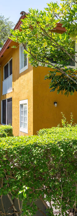 Whalers Cove Apartments in Boynton Beach, Florida