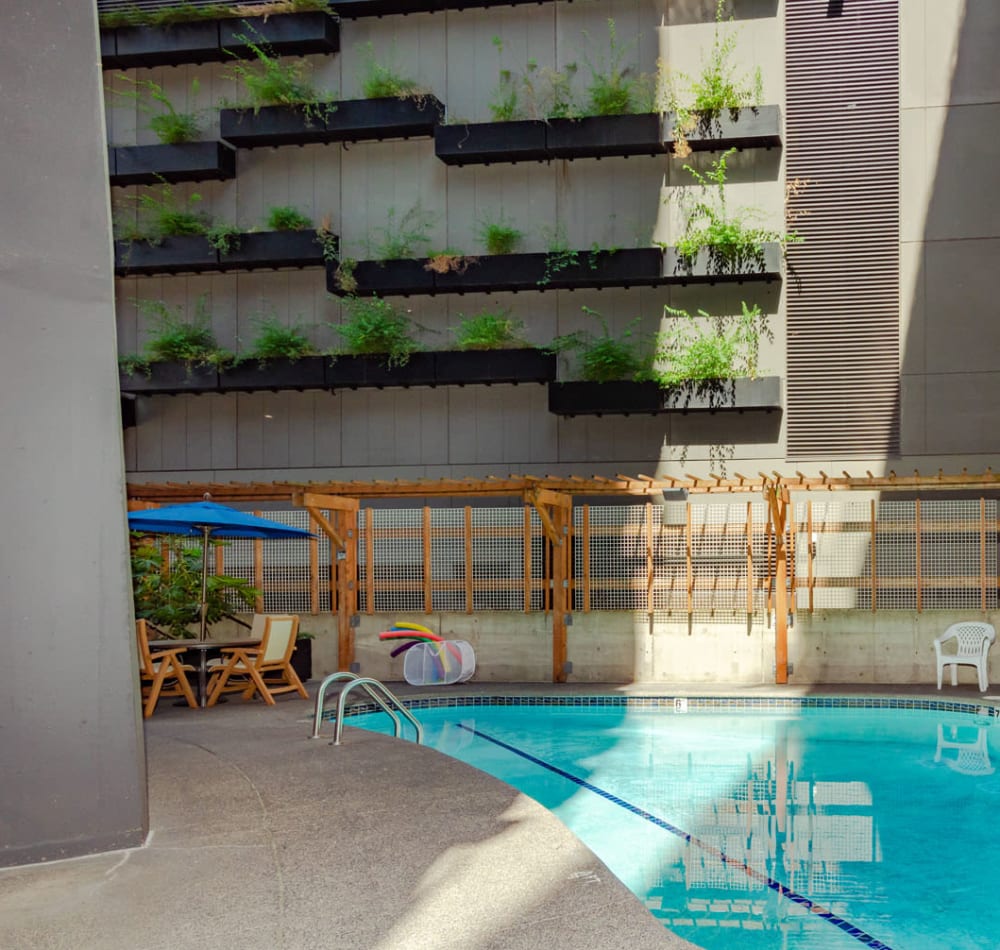 Plunge swimming pool at Tower 801 in Seattle, Washington