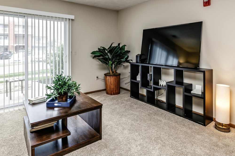 Television in living room at The Falgrove Apartments in Omaha, Nebraska