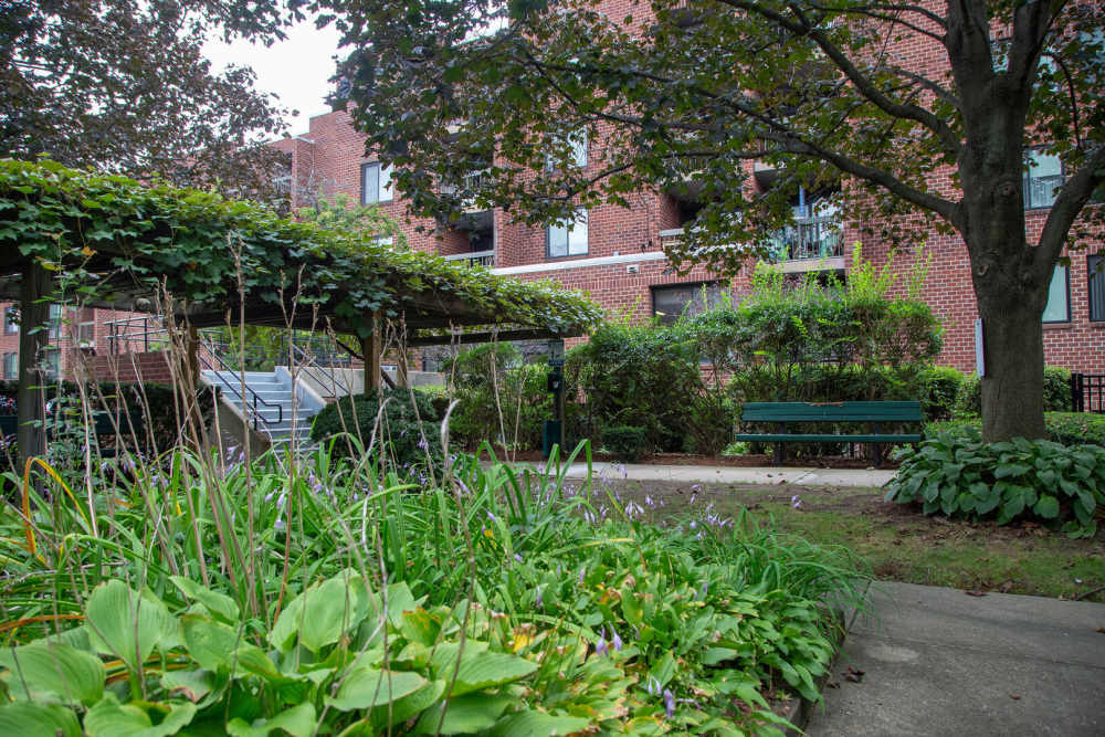 Lush green plants and flowers in garden at Victory Gardens in East Boston, Massachusetts