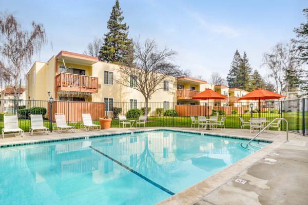 Swimming pool with shaded seating at Sycamore Commons Apartments in Fremont, California