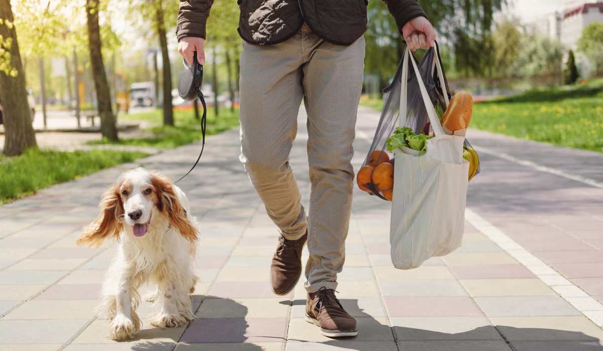 Resident with his pet at Mily on Green in Philadelphia, Pennsylvania