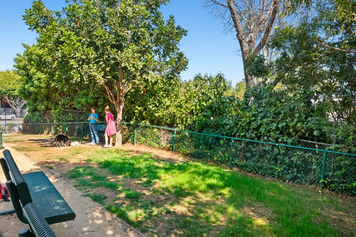 Dog park at Playa Pacifica, Playa Del Rey, California