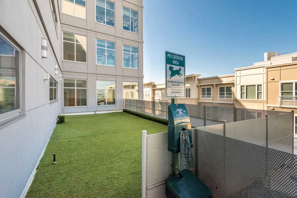 Dog run area at Terraces at Manchester in Richmond, Virginia