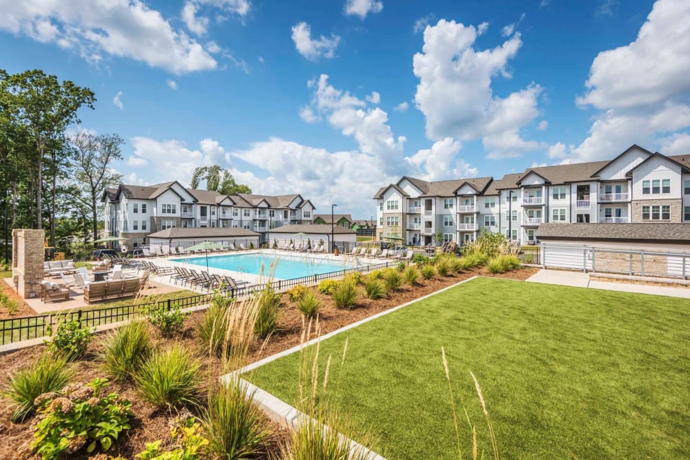 Sunny green lawn and swimming pool area at The Collins in Charlotte, North Carolina