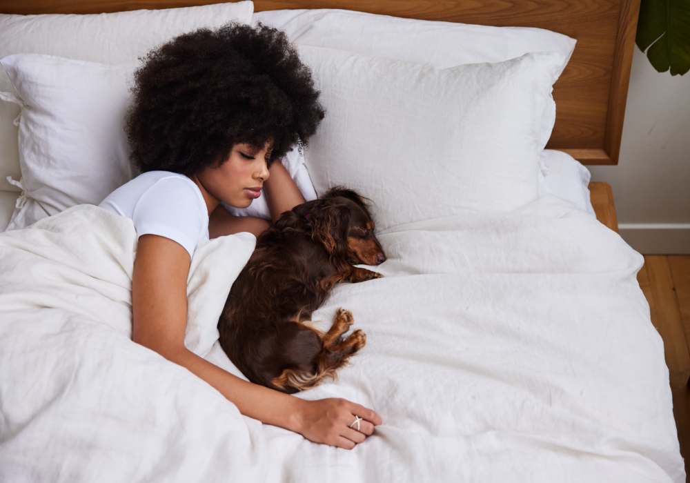 Woman sleeping with dog in cozy bed at Jefferson Manor Townhomes in Fairport, New York