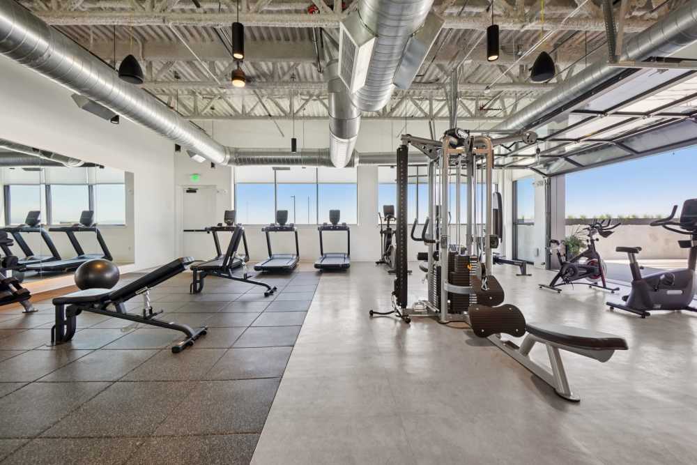 Modern gym with treadmills, weight bench, and strength machines at Tempo at Nine Mile Station in Aurora, Colorado