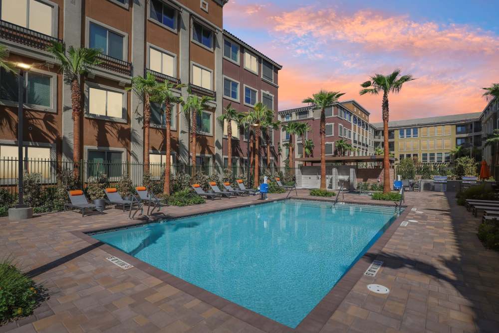 Serene pool at Tempo in Las Vegas Nevada