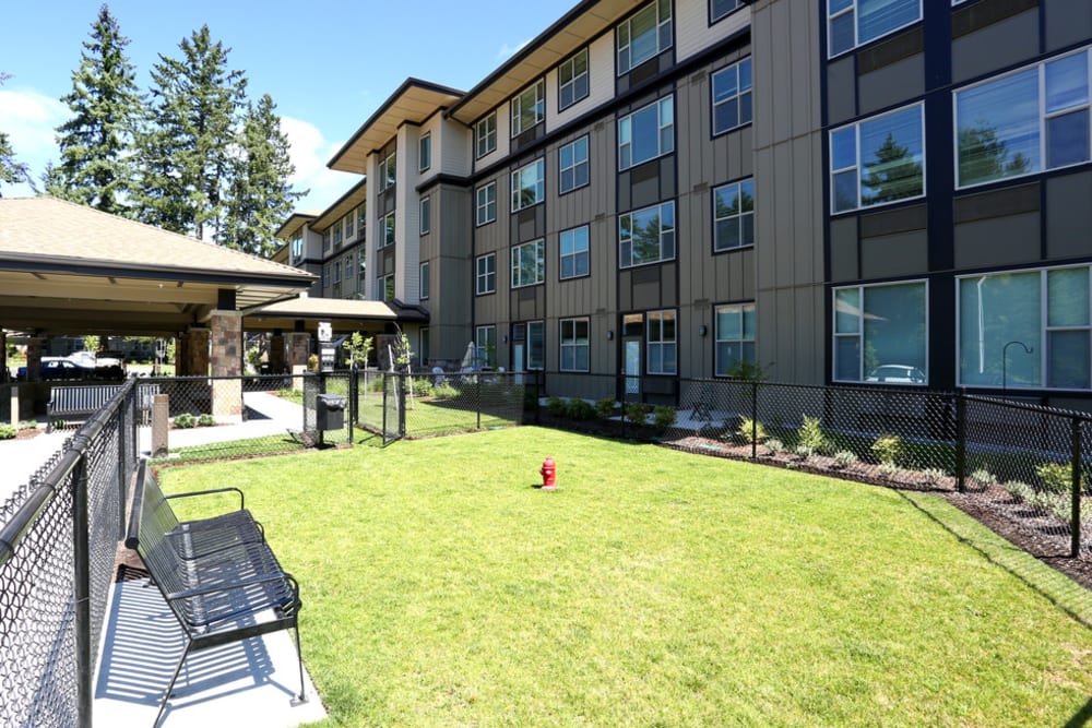 Spacious dog park for residents and their pets at The Lofts at Glenwood Place in Vancouver, Washington