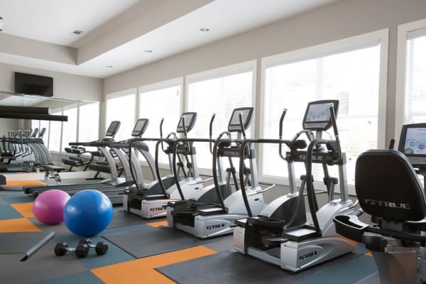 Treadmills and ellipticals at Ansley Commons Apartment Homes in Ladson, South Carolina