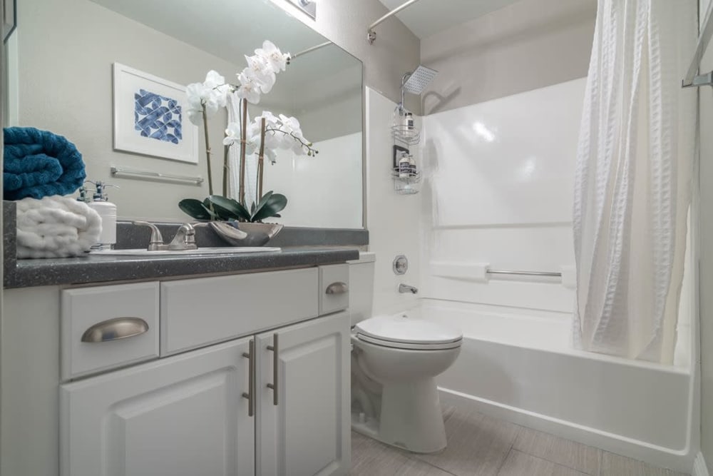 Bathroom at Parkview Terrace Apartments in Redlands, California