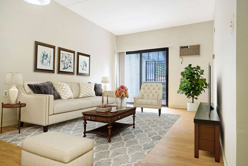 Bright apartment living room at Victory Gardens in East Boston, Massachusetts