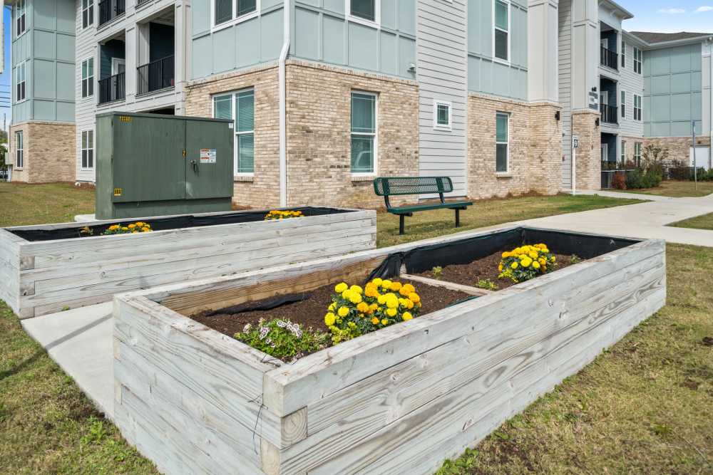 Garden at The Park at Massalina in Panama City,Florida
