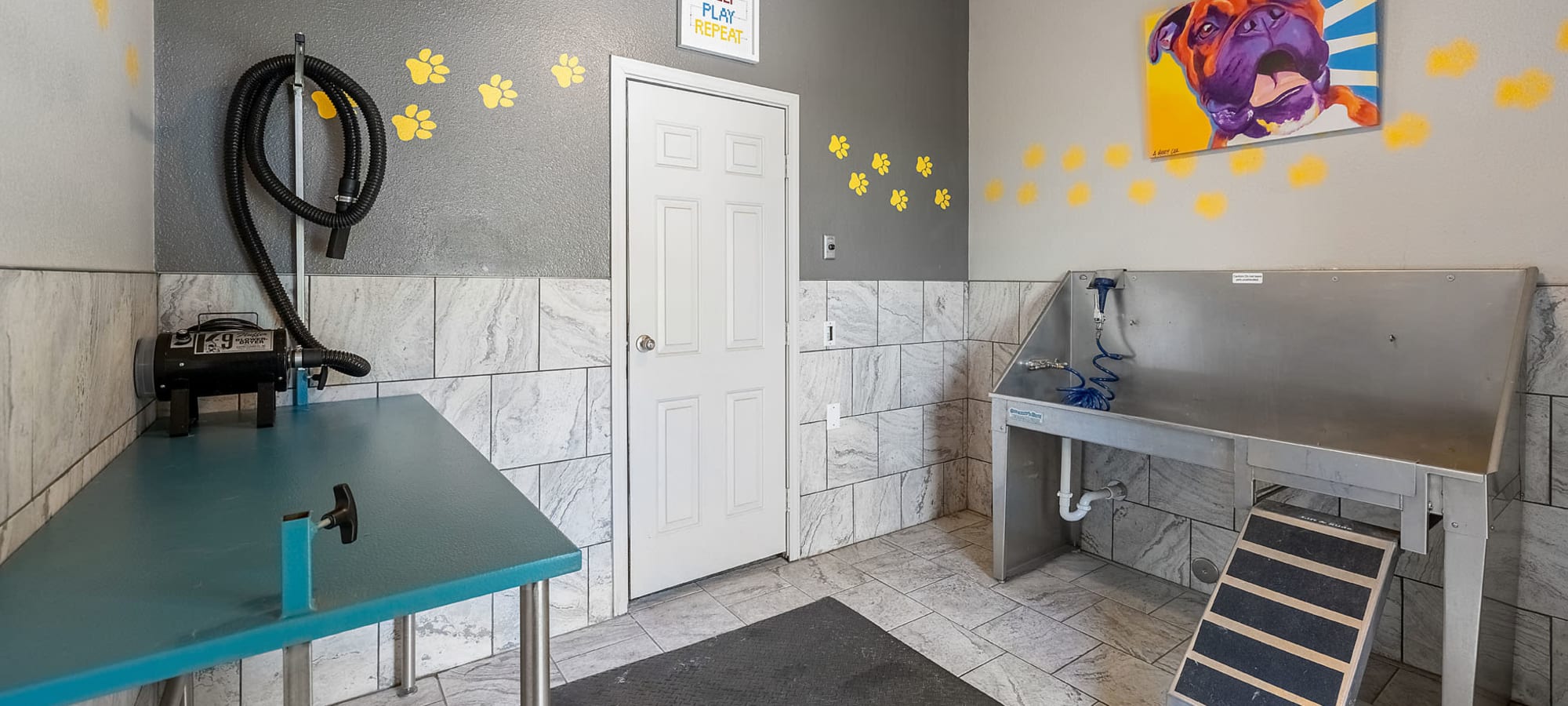Pet policy at Marquis at Town Centre in Broomfield, Colorado